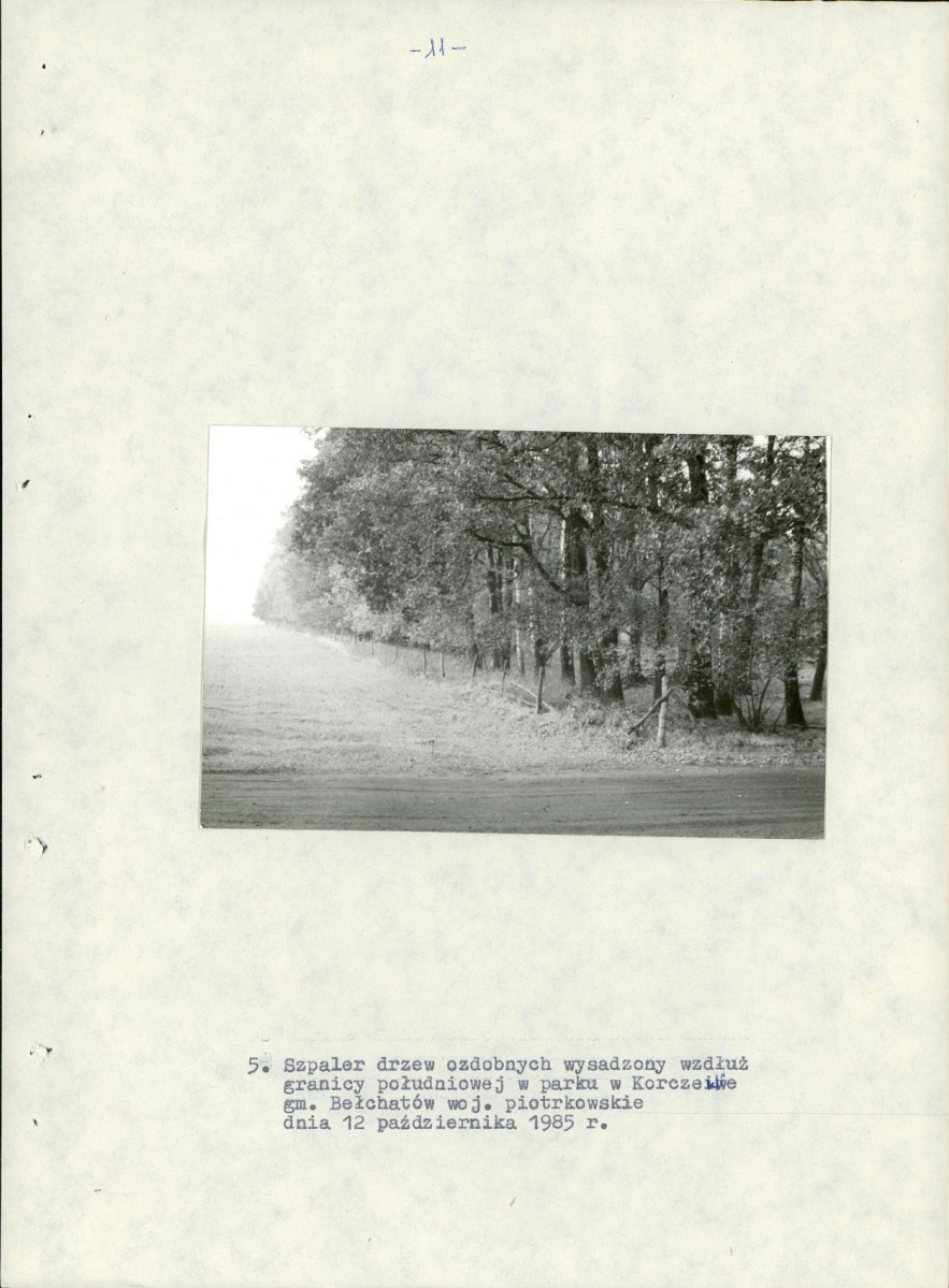 EP - Ewidencja parkowa, skan nr 19