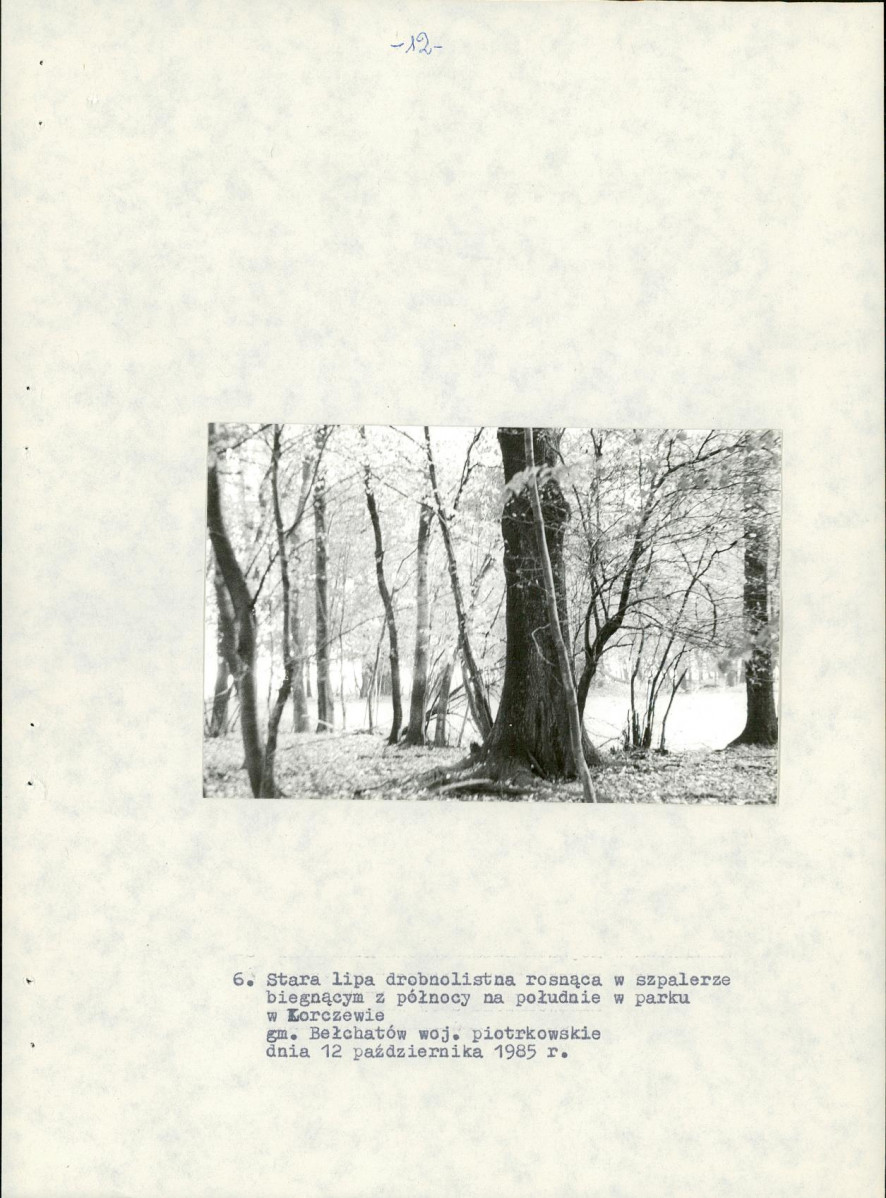 EP - Ewidencja parkowa, skan nr 20