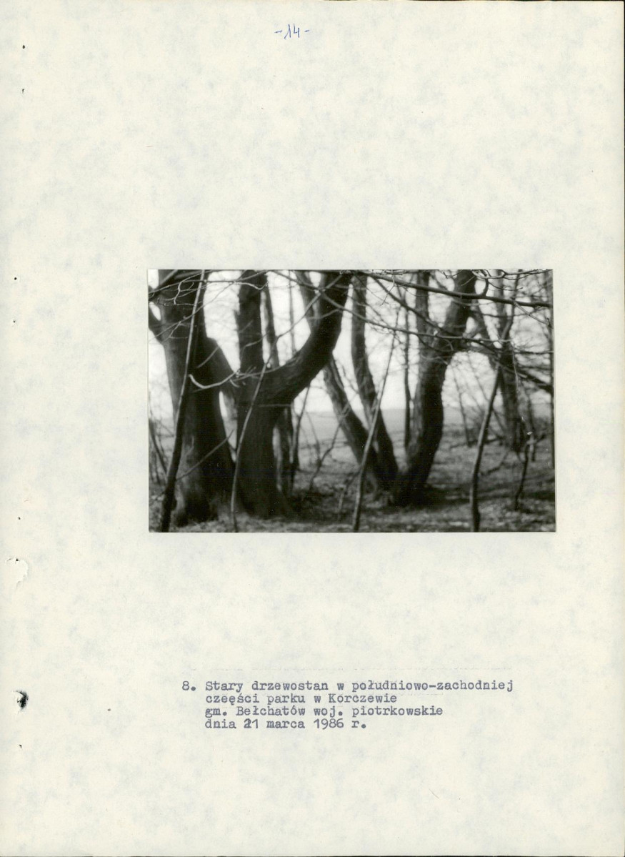 EP - Ewidencja parkowa, skan nr 22