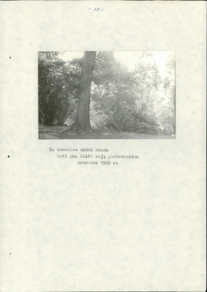 EP - Ewidencja parkowa, skan nr 17