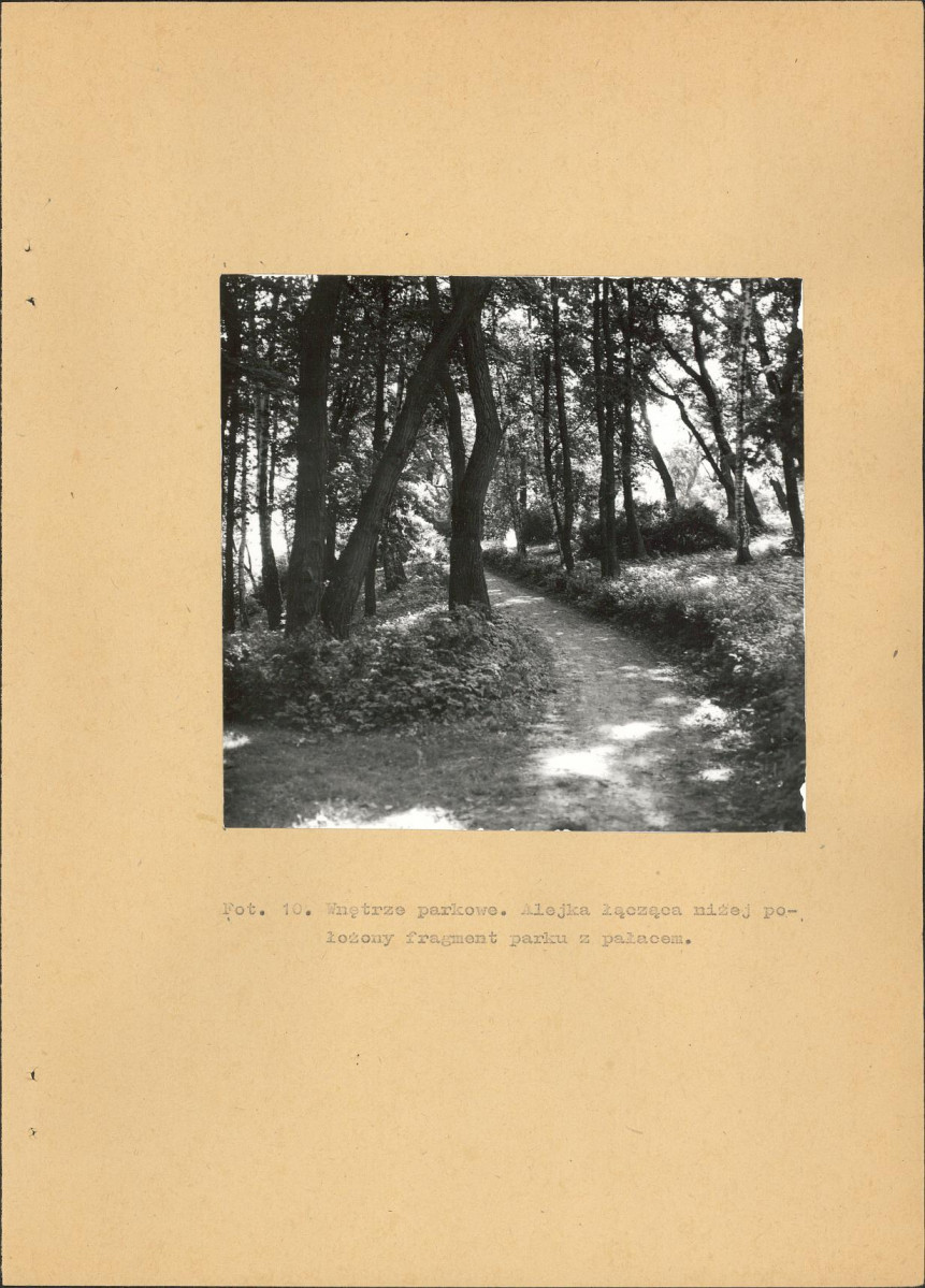 EP - Ewidencja parkowa, skan nr 34