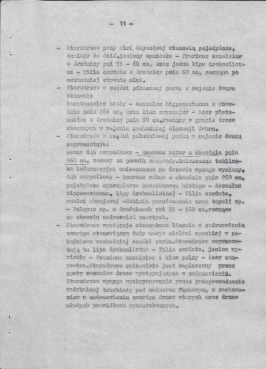 EP - Ewidencja parkowa, skan nr 19