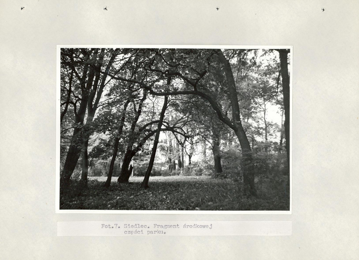 Ewidencja parkowa, skan nr 26