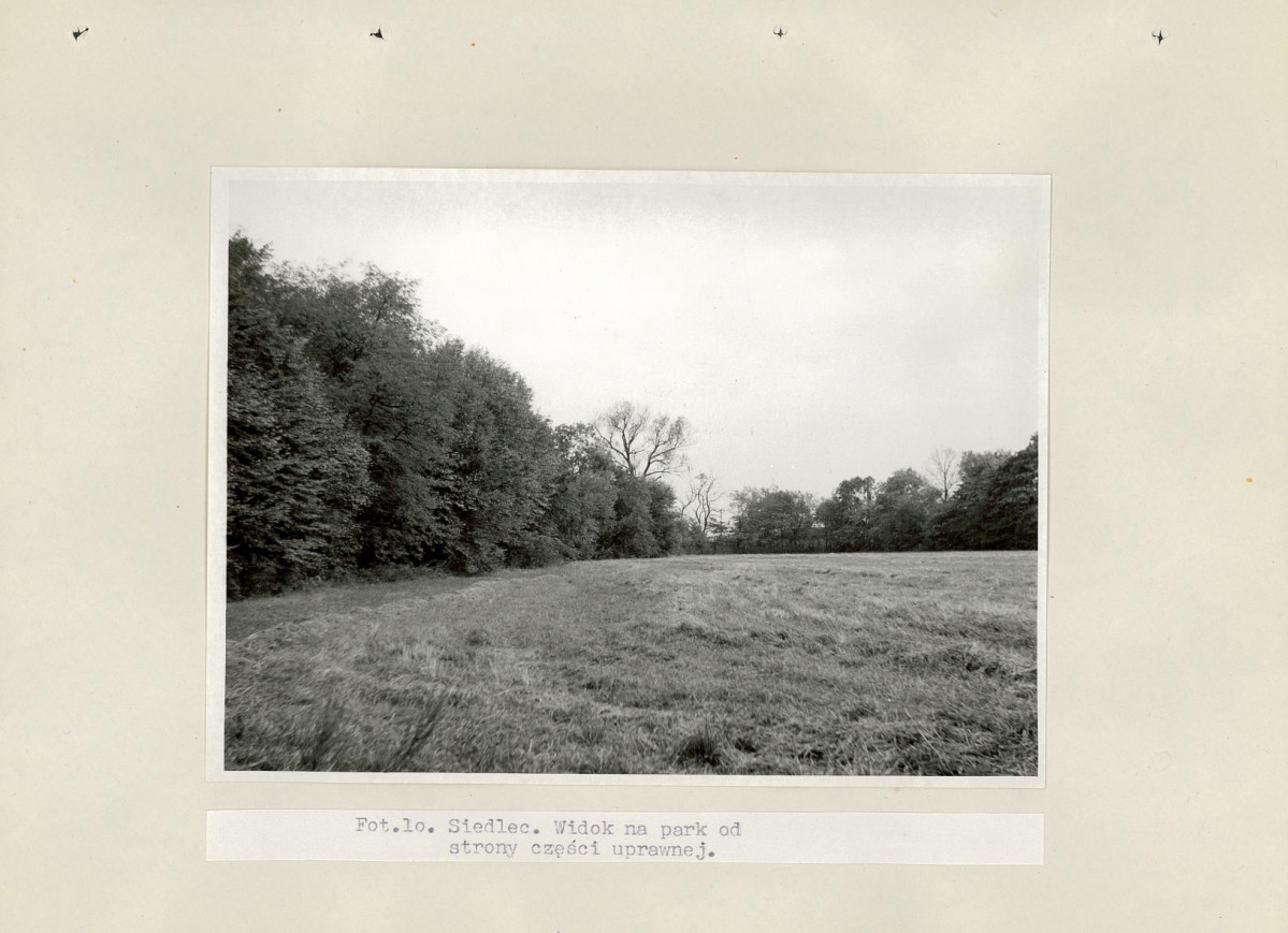 Ewidencja parkowa, skan nr 29