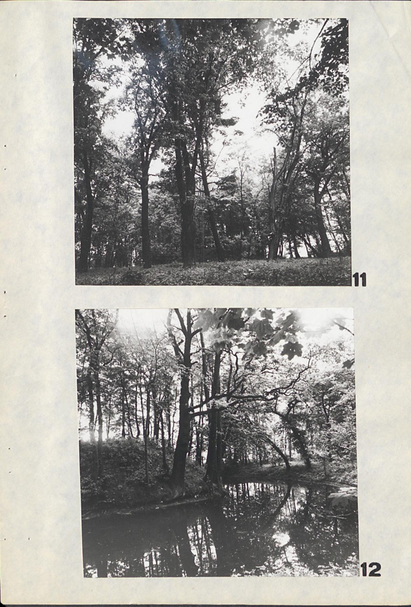 EP - Ewidencja parkowa, skan nr 40