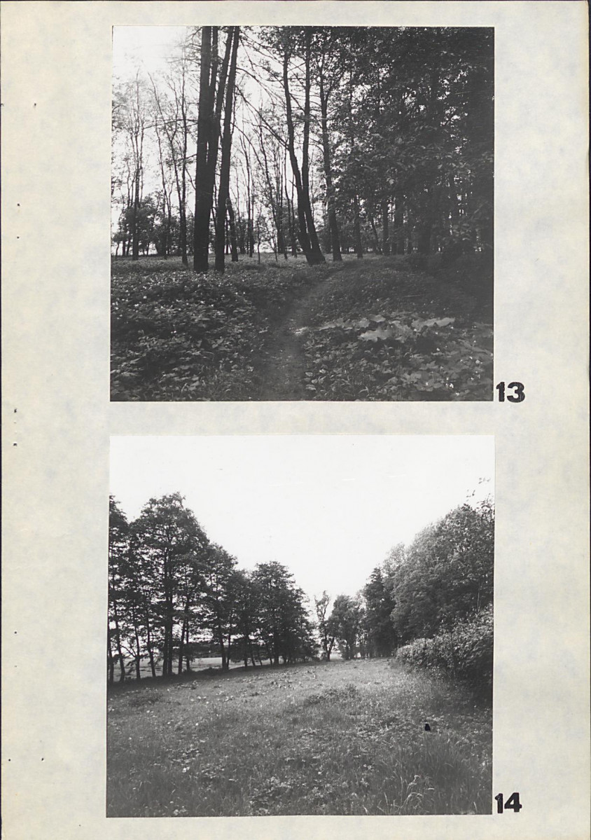 EP - Ewidencja parkowa, skan nr 41