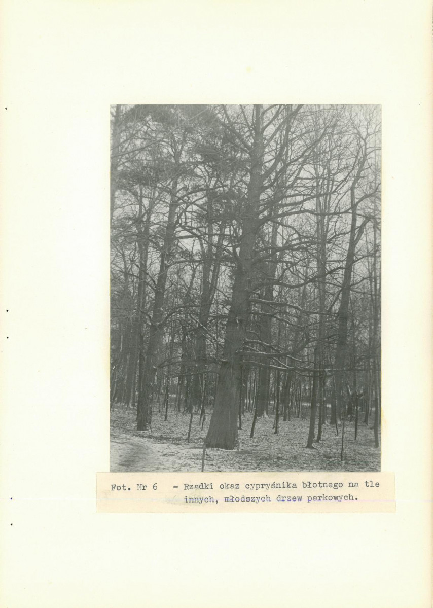 EP - Ewidencja parkowa, skan nr 34