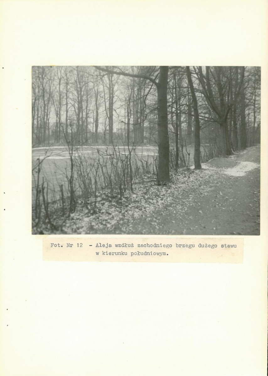 EP - Ewidencja parkowa, skan nr 40