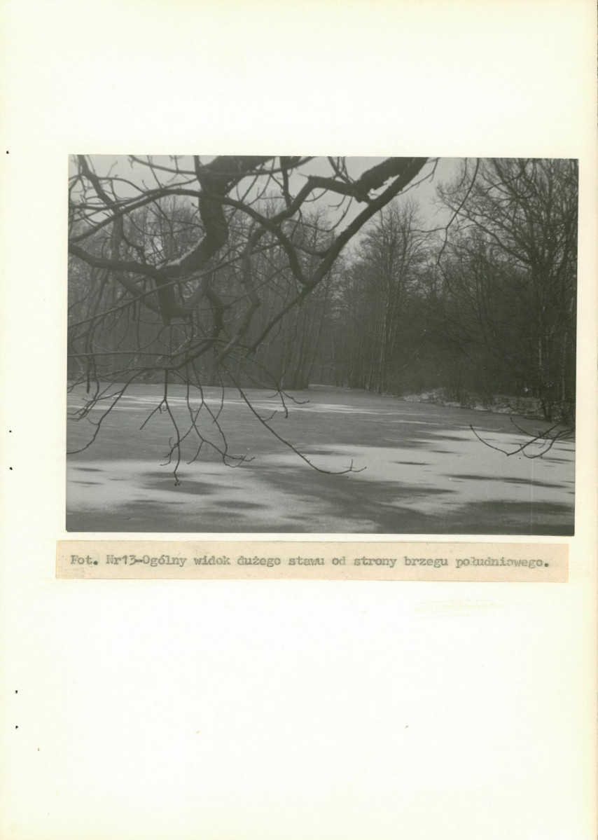 EP - Ewidencja parkowa, skan nr 41