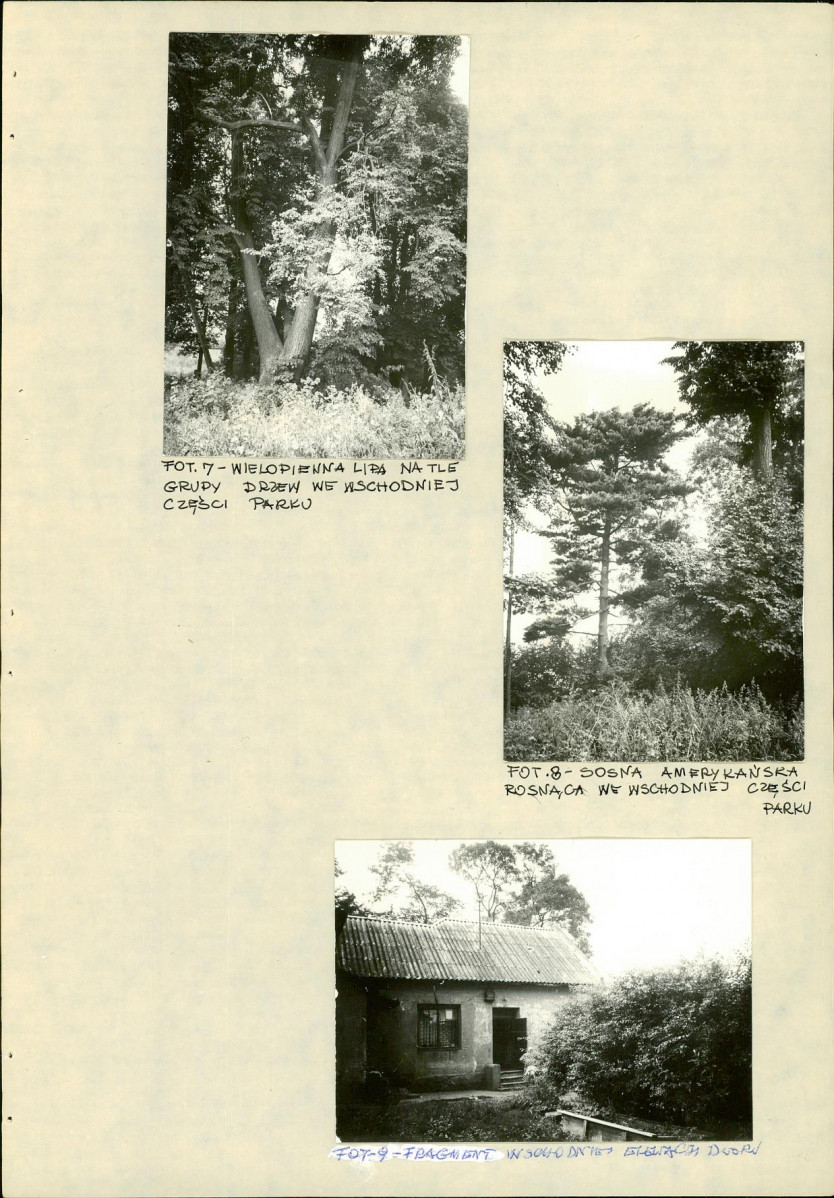 EP - Ewidencja parkowa, skan nr 28