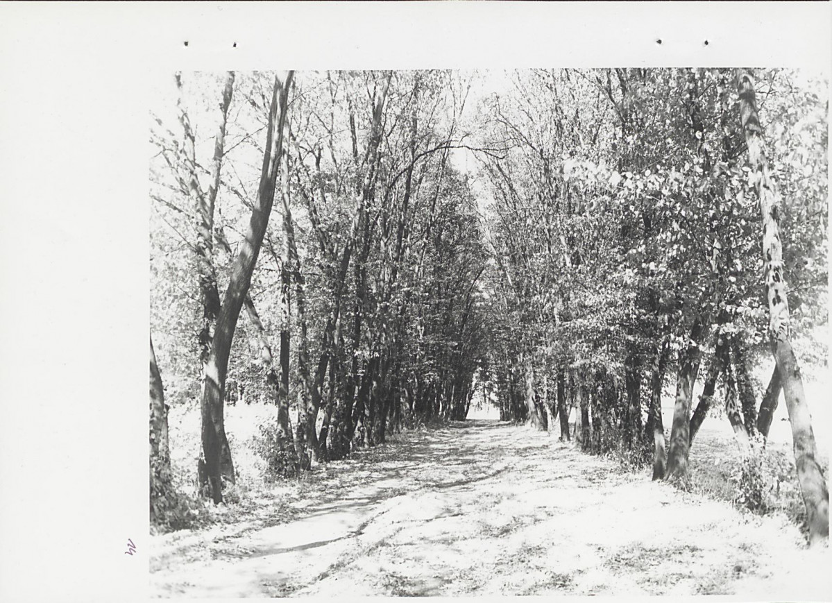 Ewidencja parkowa, skan nr 50
