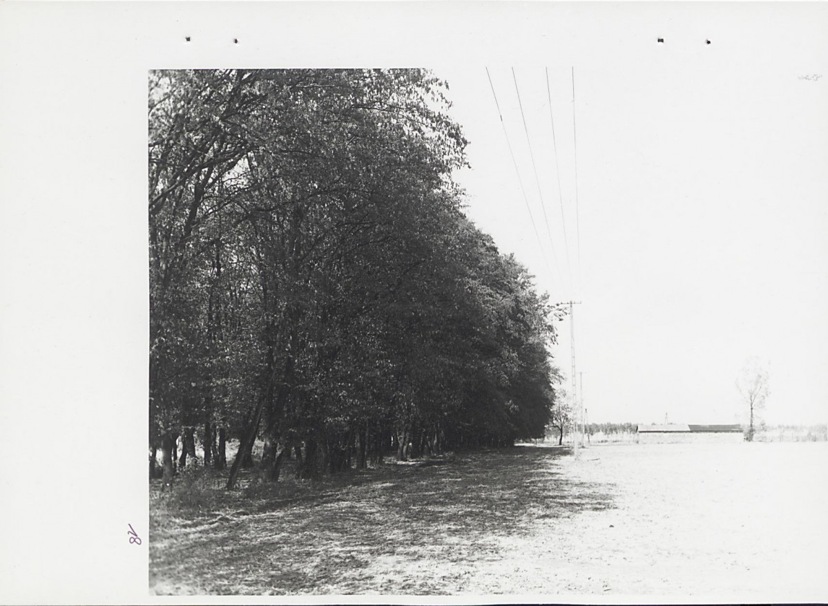 Ewidencja parkowa, skan nr 54