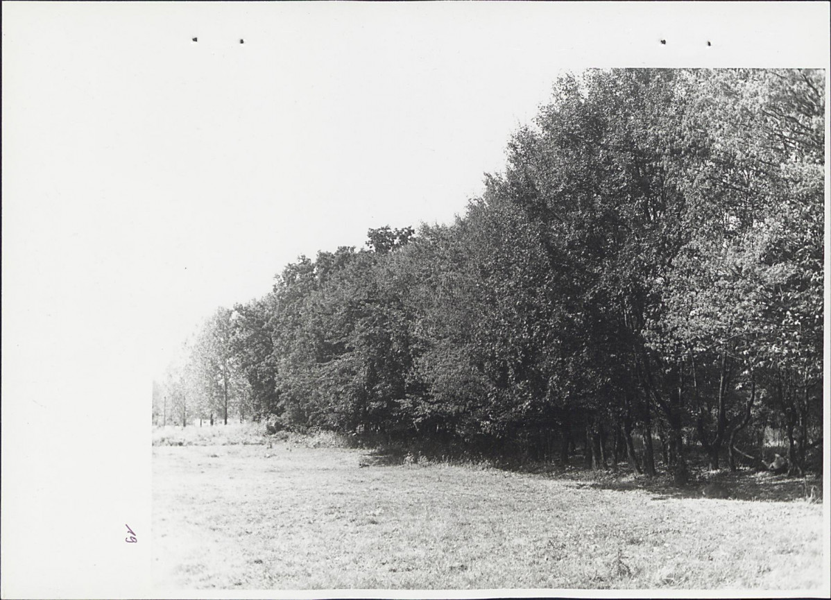 Ewidencja parkowa, skan nr 55