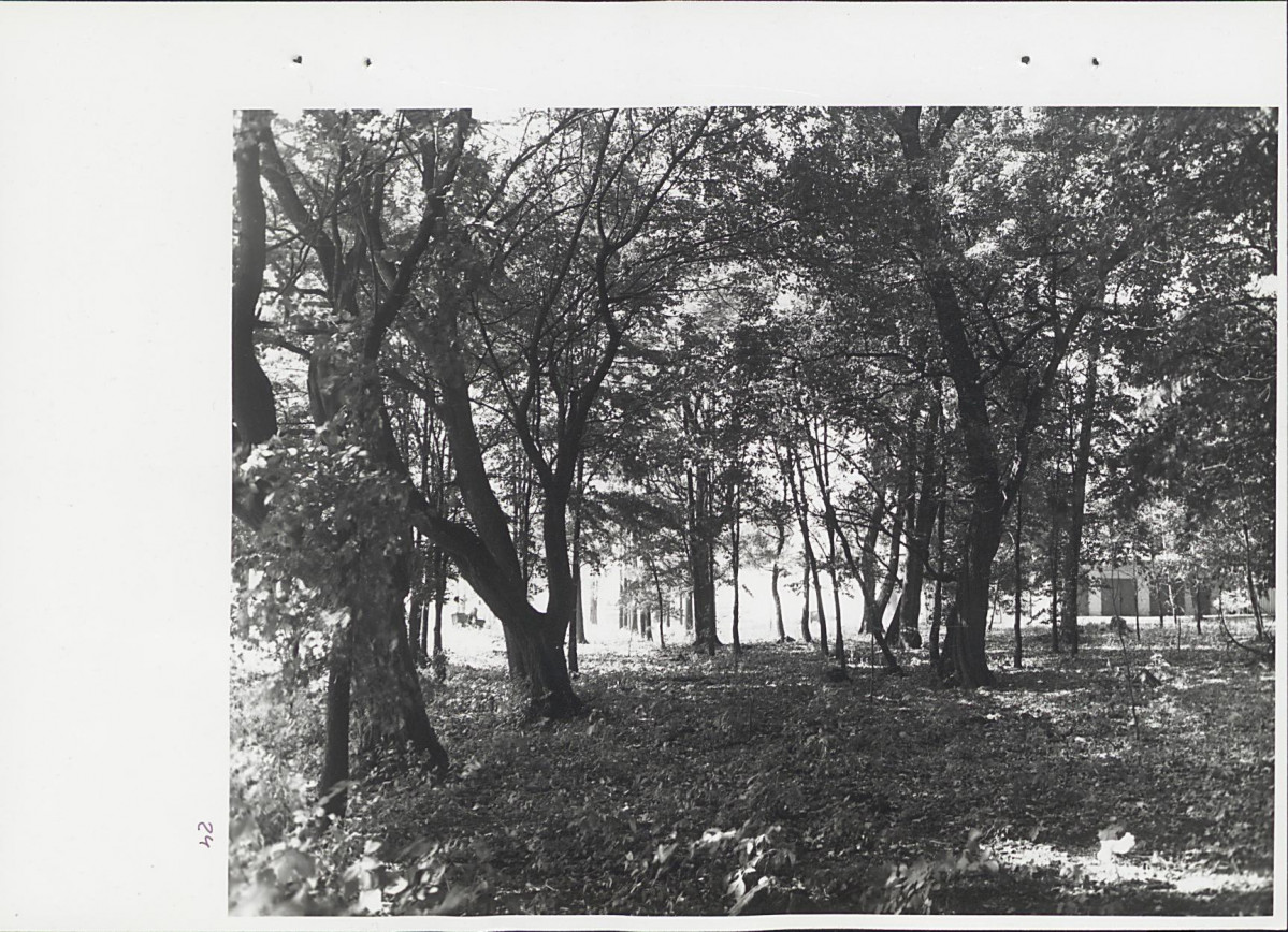 Ewidencja parkowa, skan nr 60