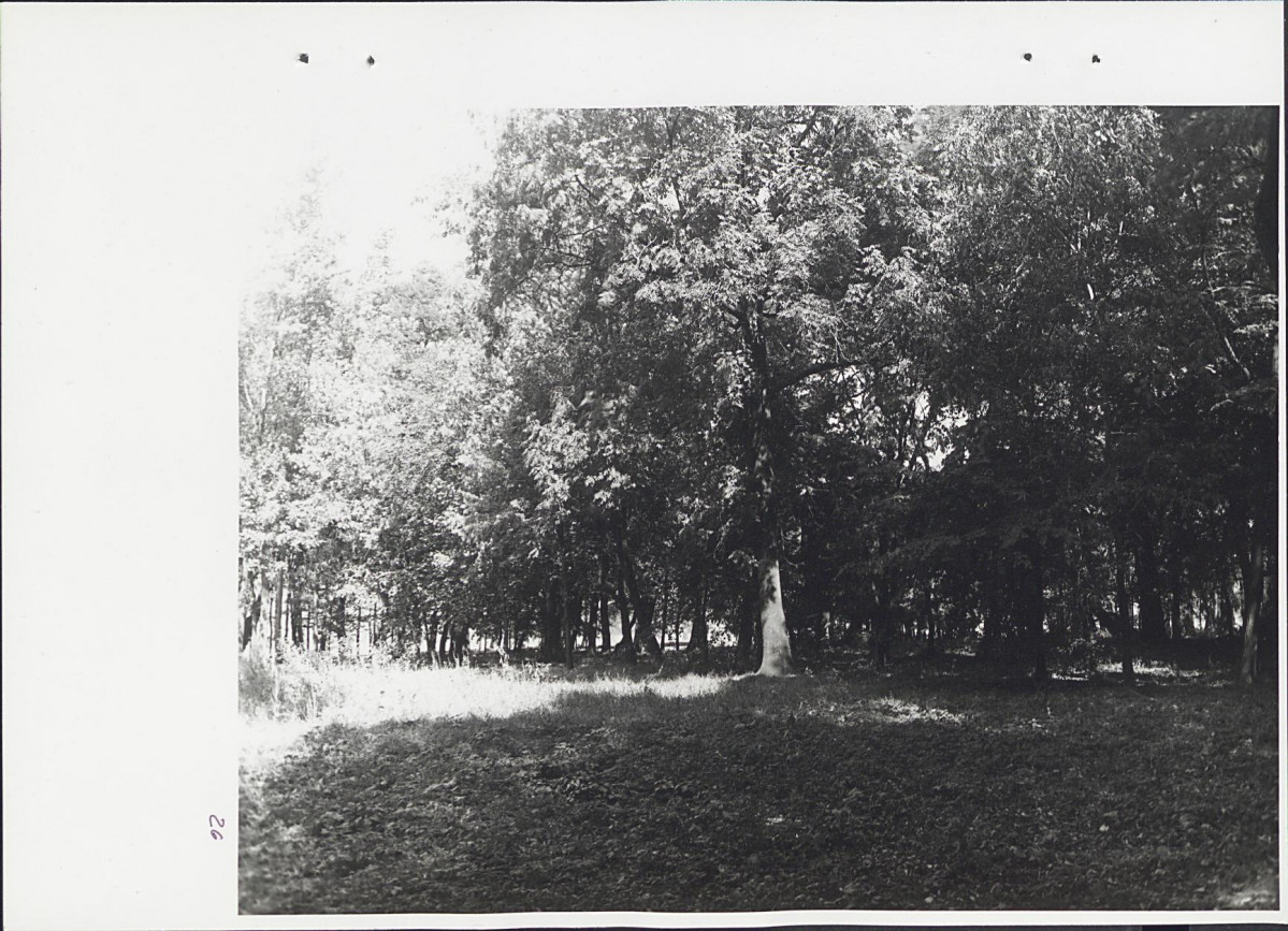 Ewidencja parkowa, skan nr 62