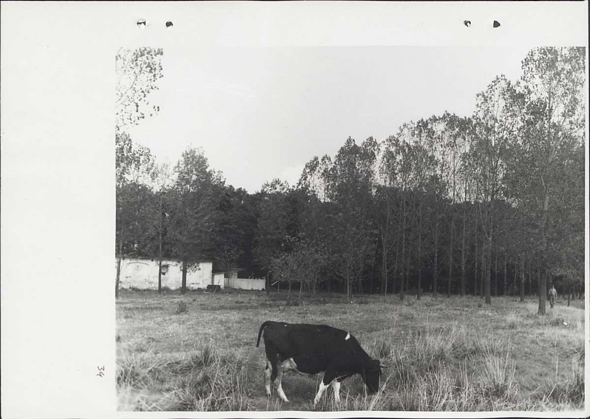 Ewidencja parkowa, skan nr 70
