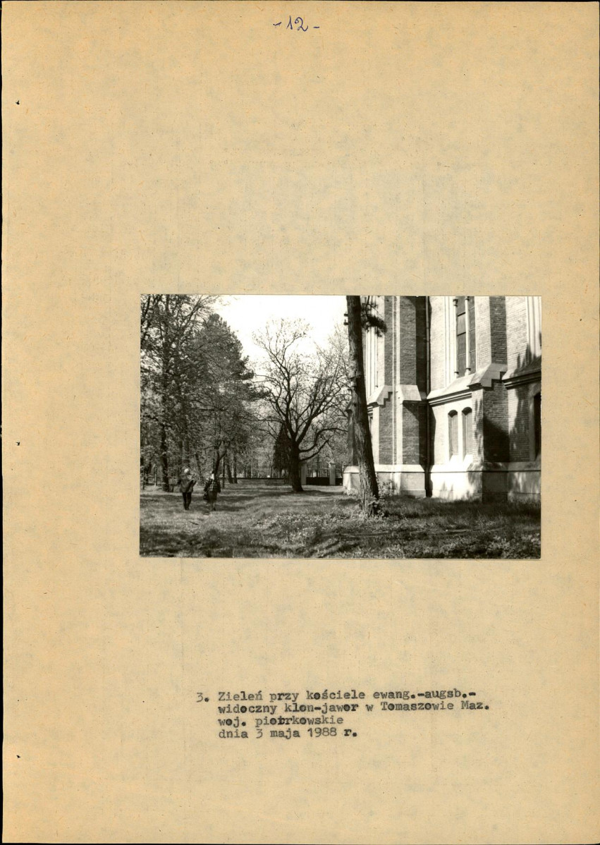 Ewidencja parkowa, skan nr 19