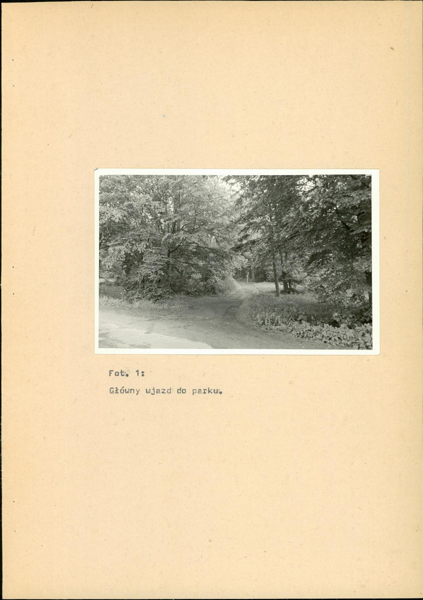 EP - Ewidencja parkowa, skan nr 37