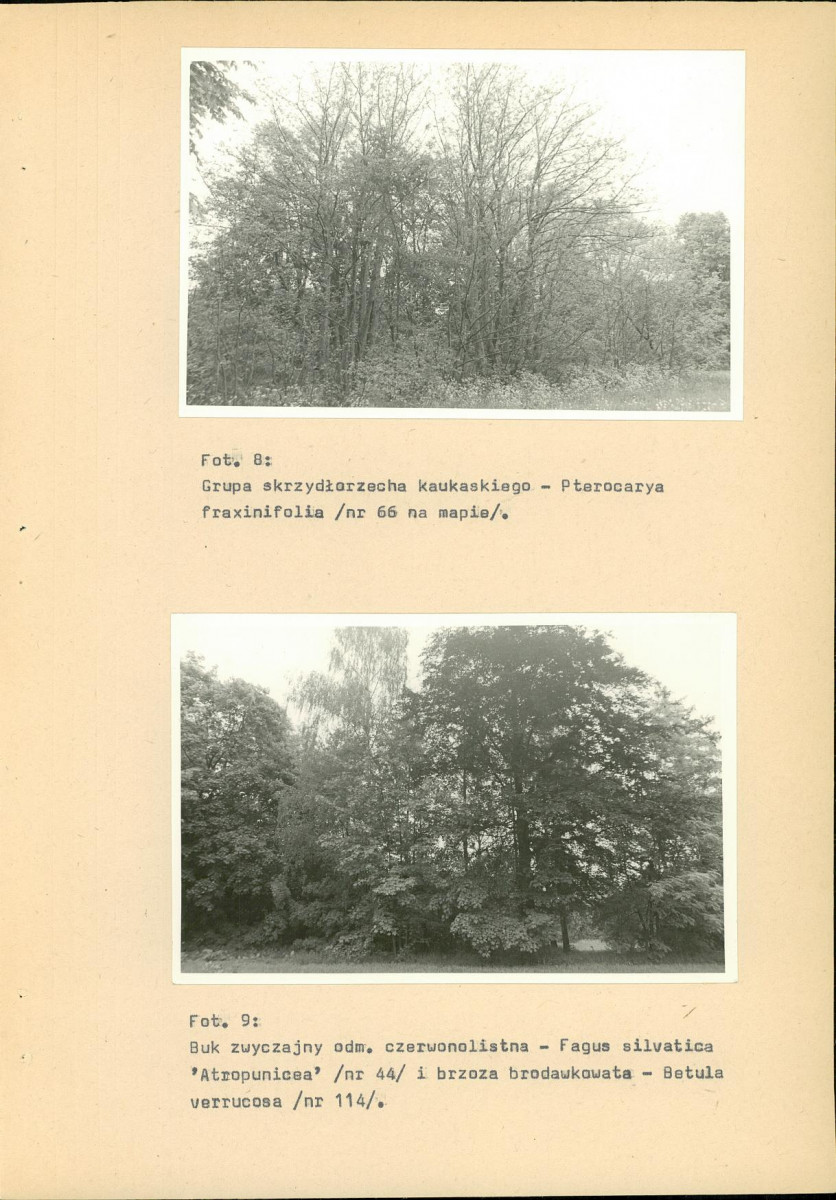 EP - Ewidencja parkowa, skan nr 41
