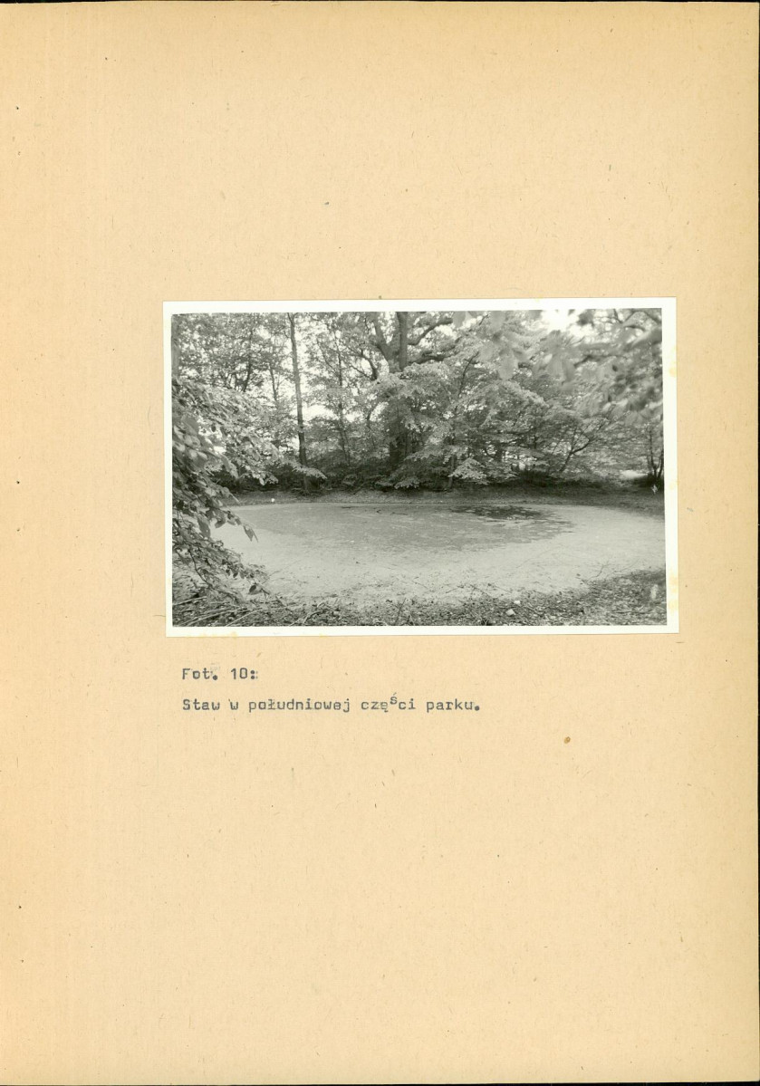 EP - Ewidencja parkowa, skan nr 42