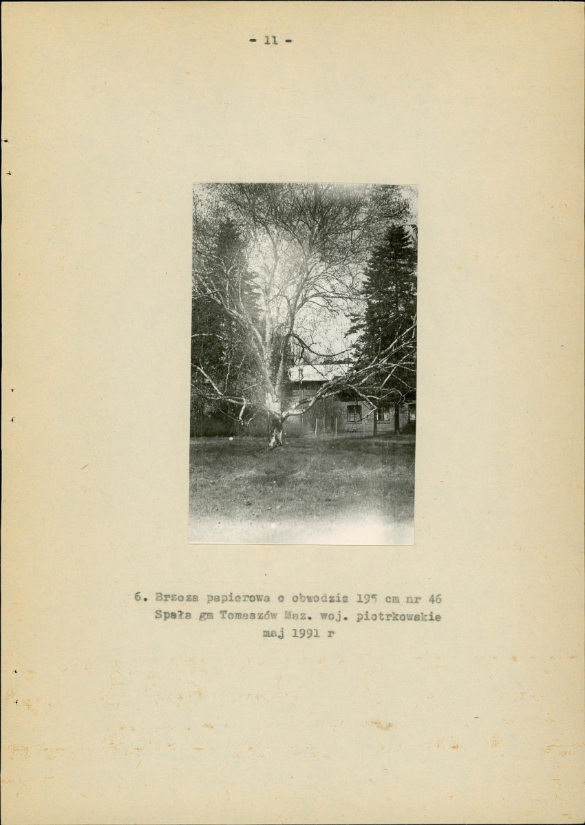 Ewidencja parkowa, skan nr 19