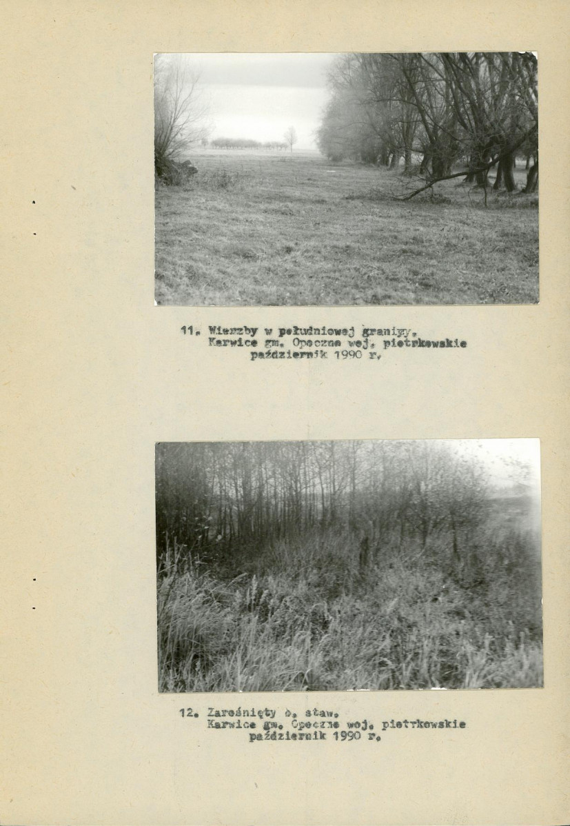 EP - Ewidencja parkowa, skan nr 17