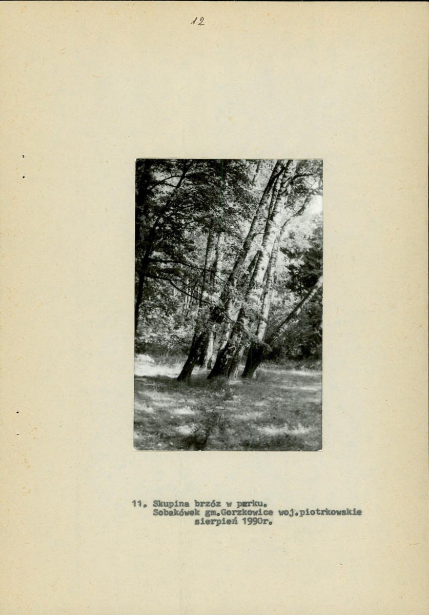 Ewidencja parkowa, skan nr 19
