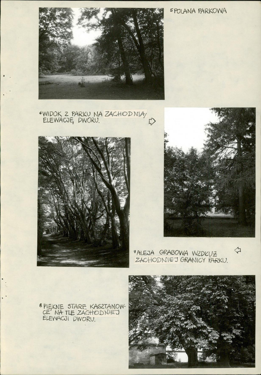 Ewidencja parkowa, skan nr 22