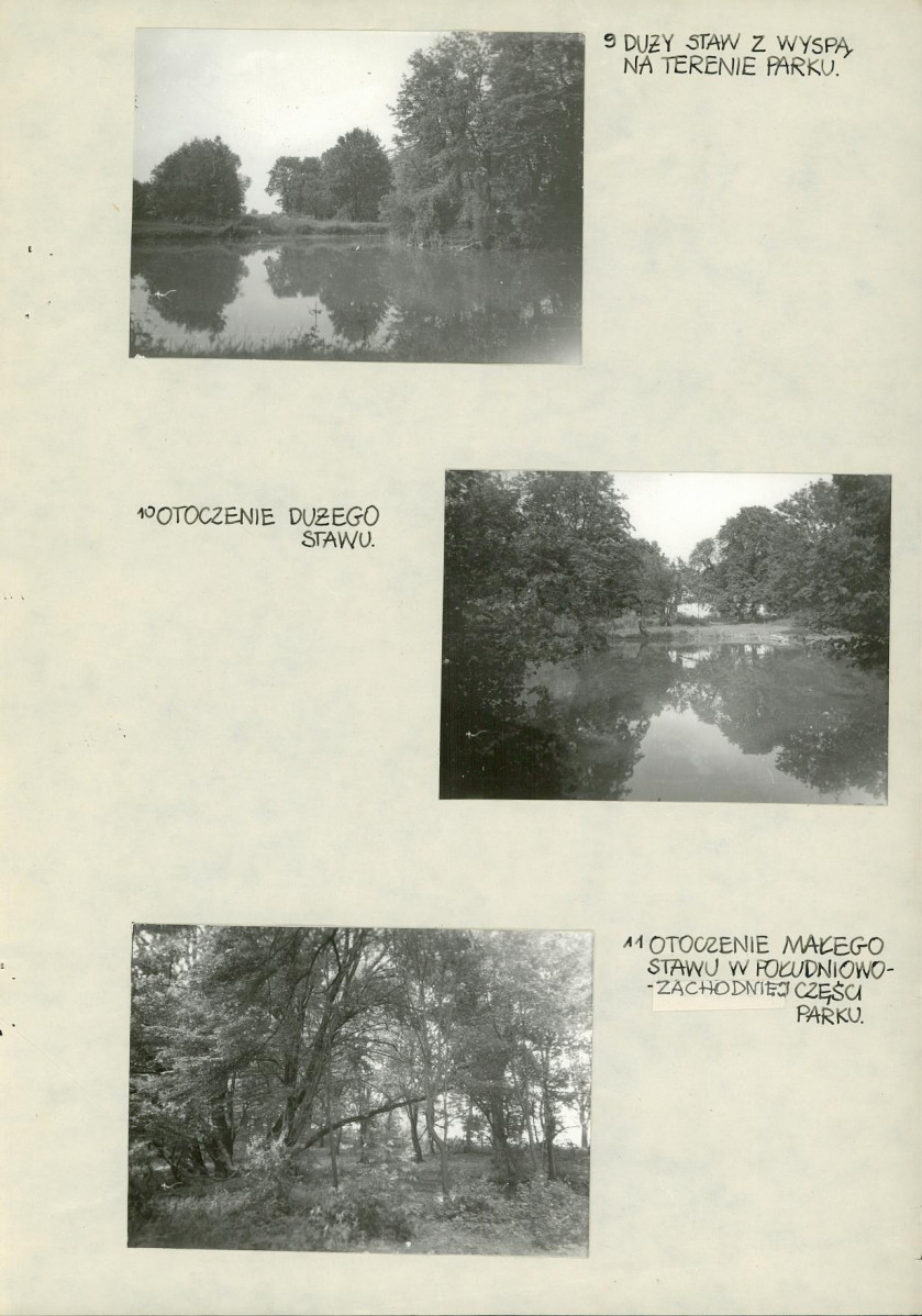 Ewidencja parkowa, skan nr 23