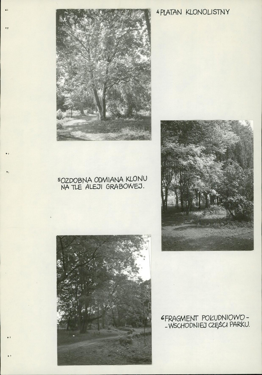 EP - Ewidencja parkowa, skan nr 23