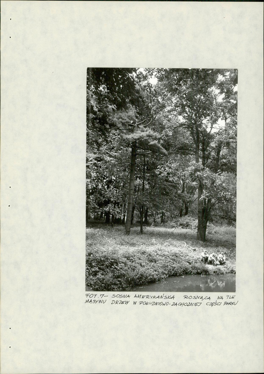 Ewidencja parkowa, skan nr 33