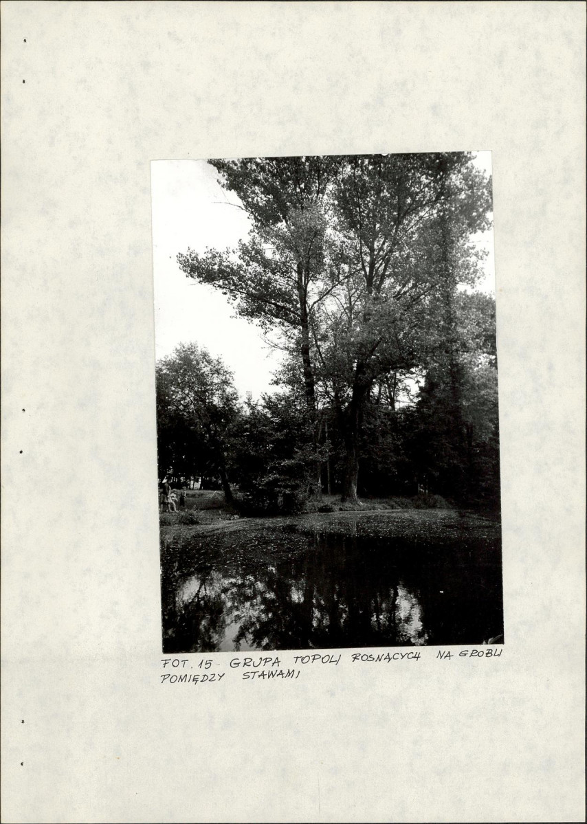 Ewidencja parkowa, skan nr 41