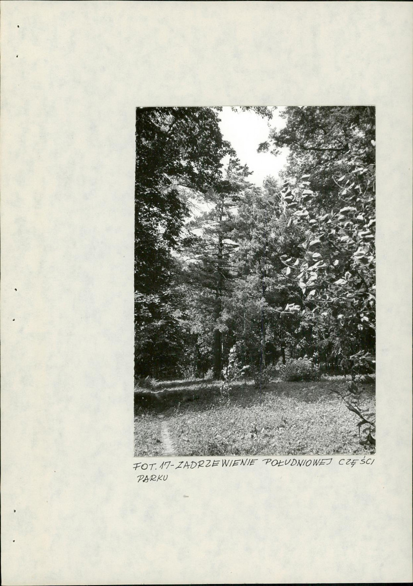 Ewidencja parkowa, skan nr 43
