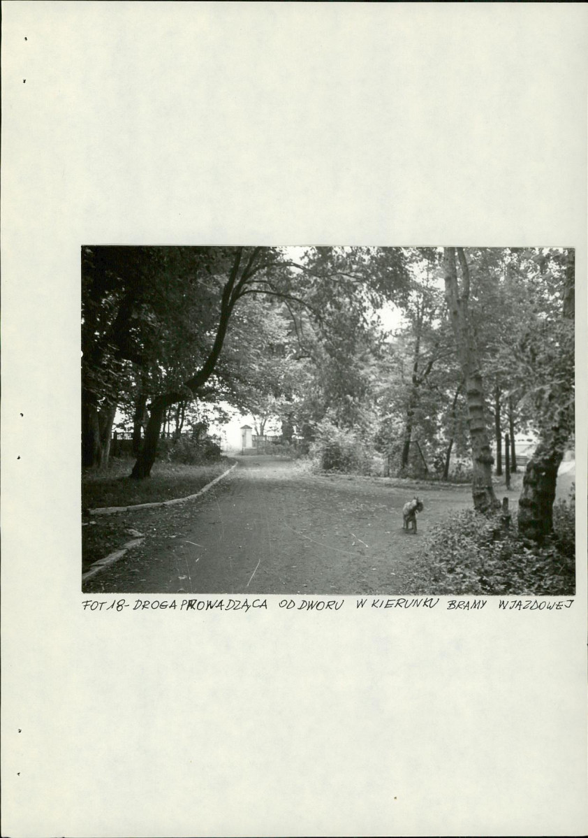 Ewidencja parkowa, skan nr 44