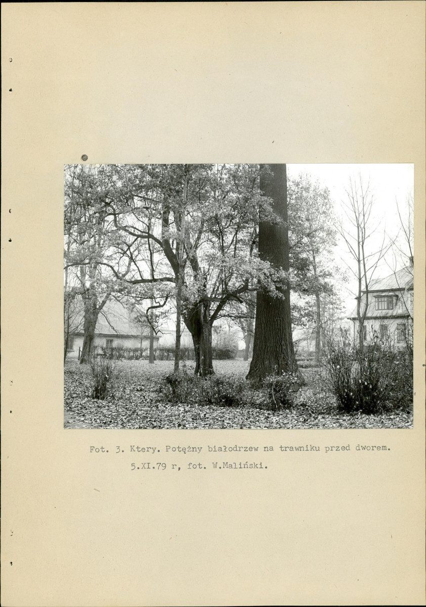 EP - Ewidencja parkowa, skan nr 13
