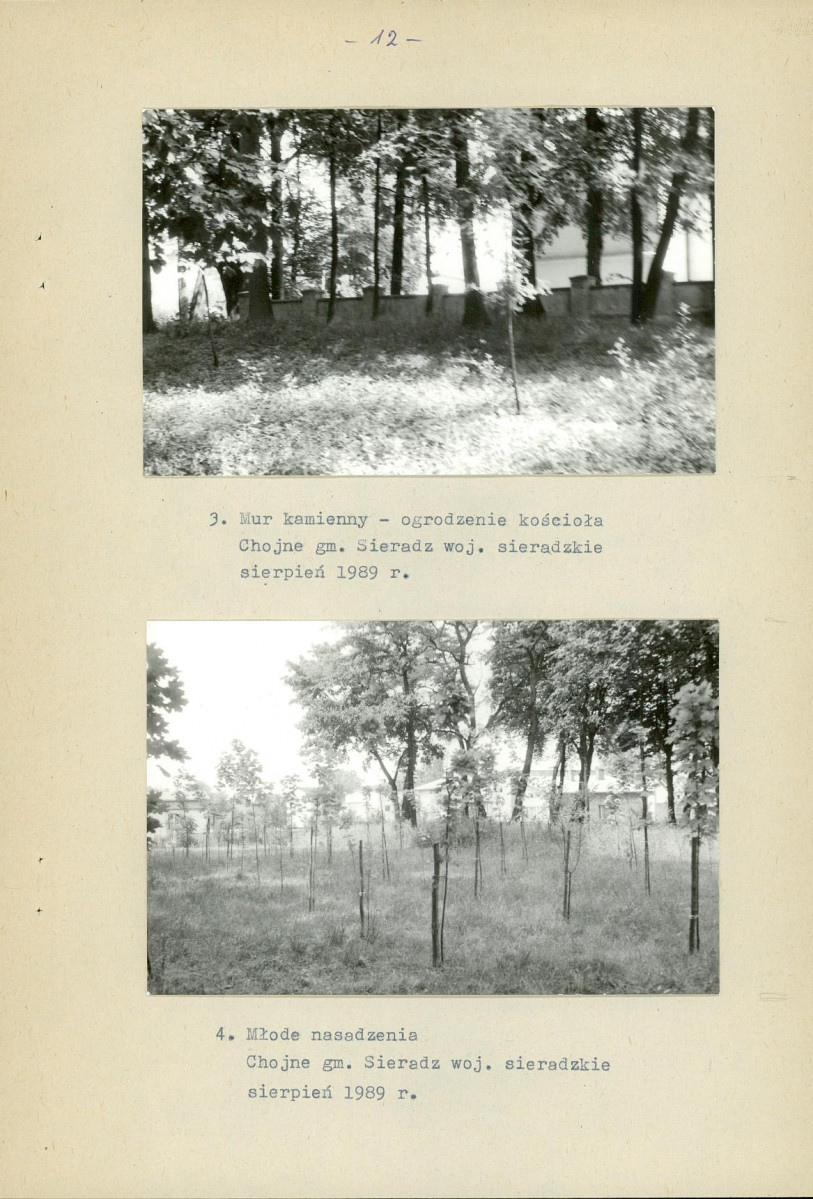 EP - Ewidencja parkowa, skan nr 19