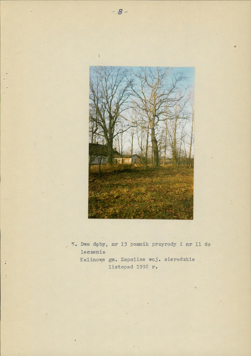 EP - Ewidencja parkowa, skan nr 15