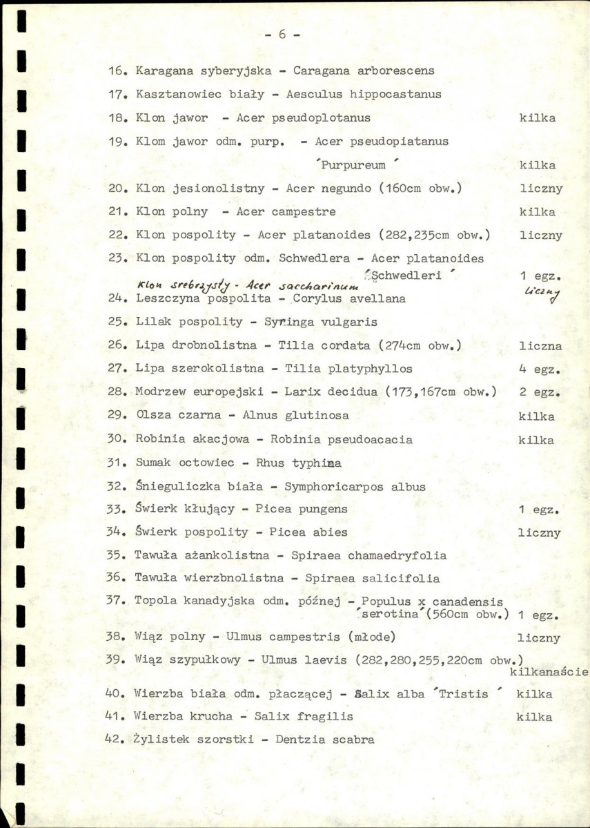 Ewidencja parkowa, skan nr 11