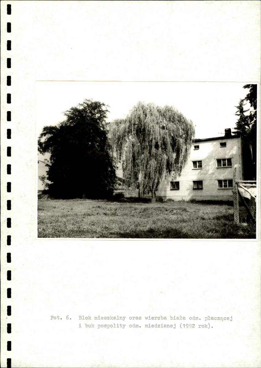 Ewidencja parkowa, skan nr 20