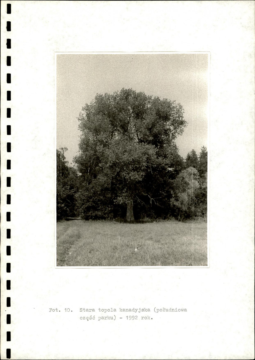 Ewidencja parkowa, skan nr 24
