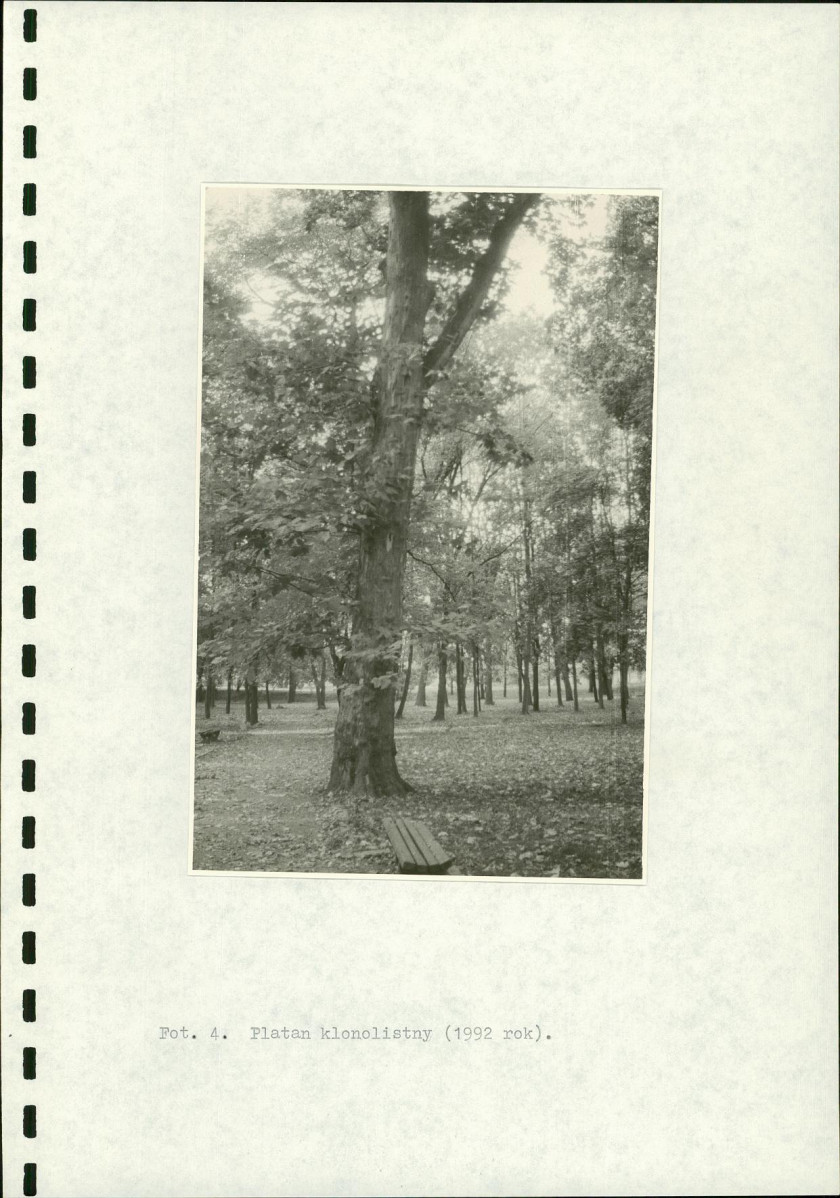 Ewidencja parkowa, skan nr 21