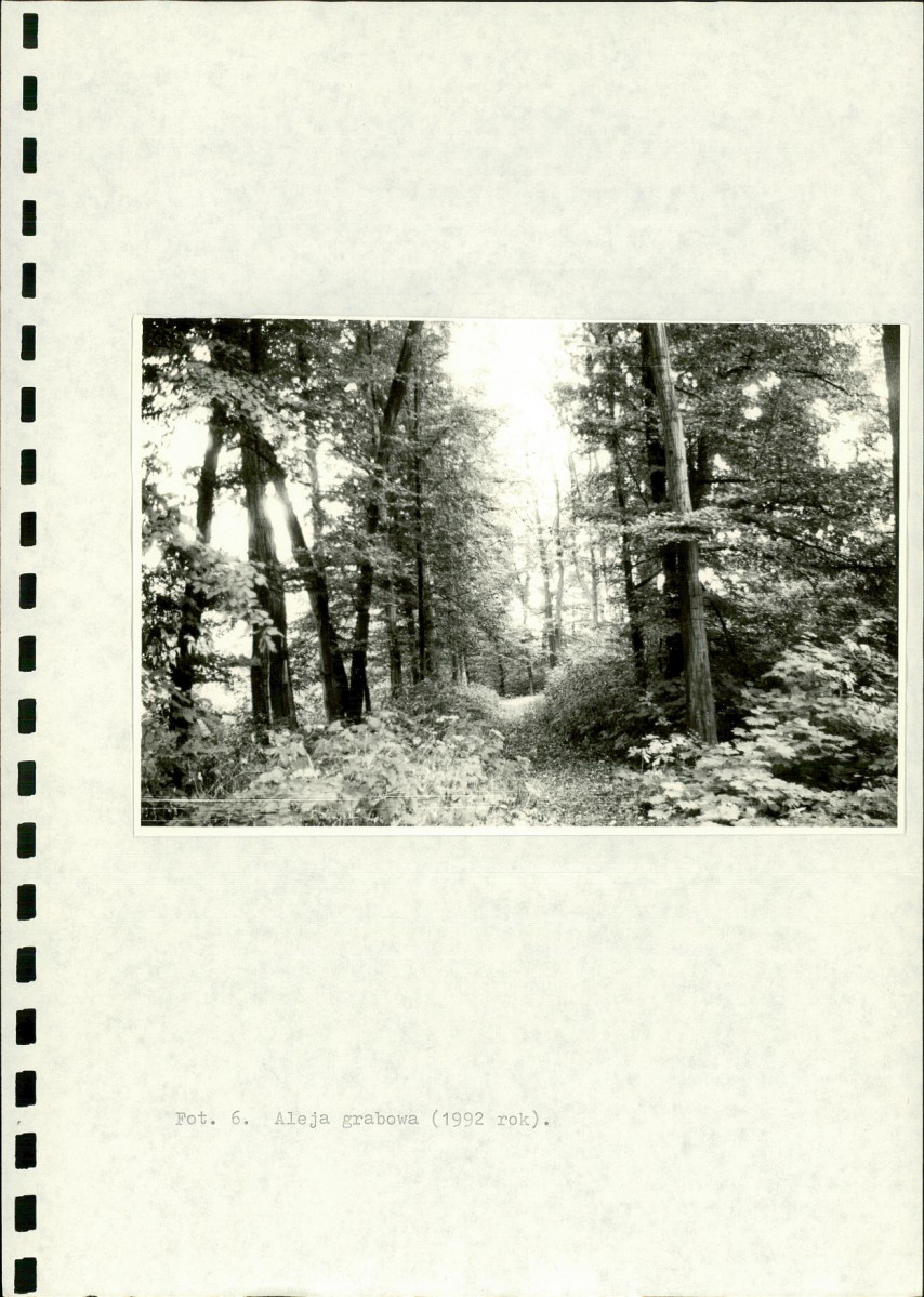 Ewidencja parkowa, skan nr 22