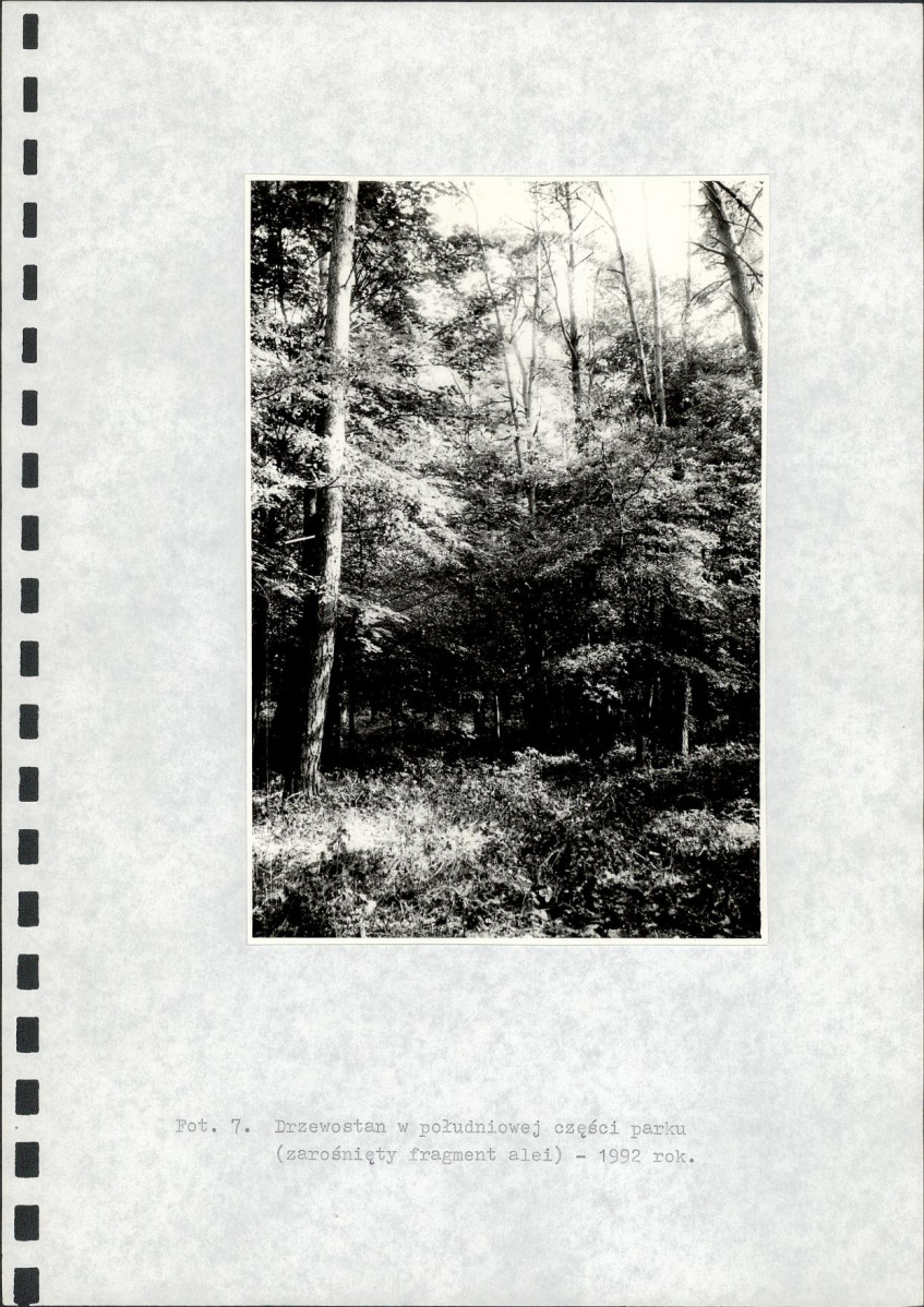 Ewidencja parkowa, skan nr 23
