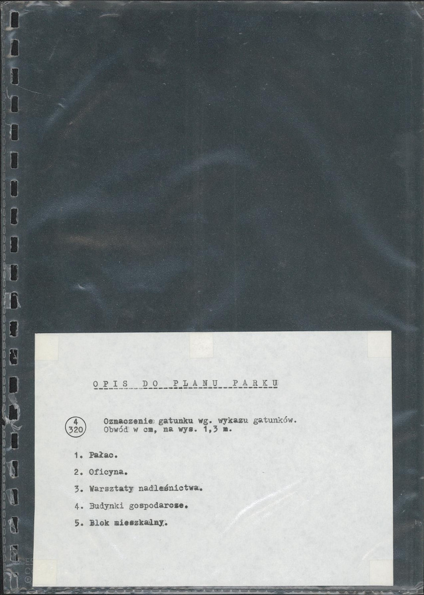 Ewidencja parkowa, skan nr 29