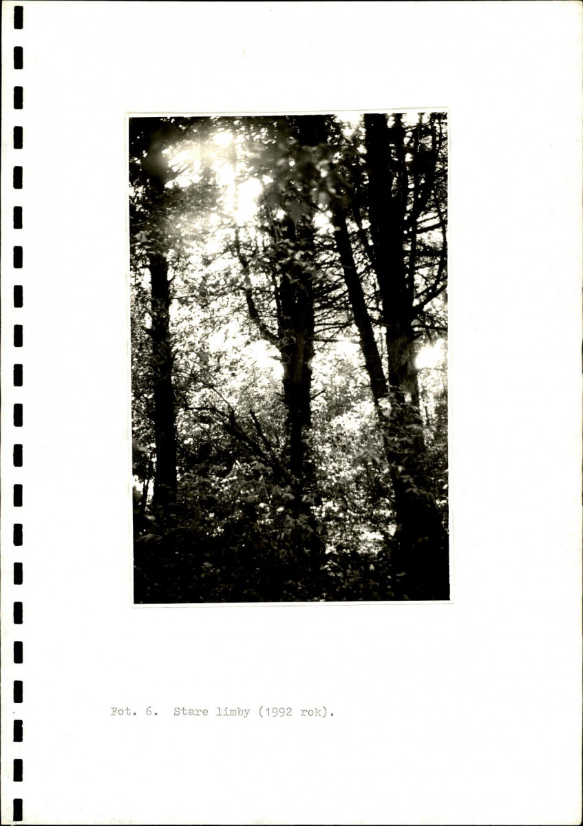 EP - Ewidencja parkowa, skan nr 18