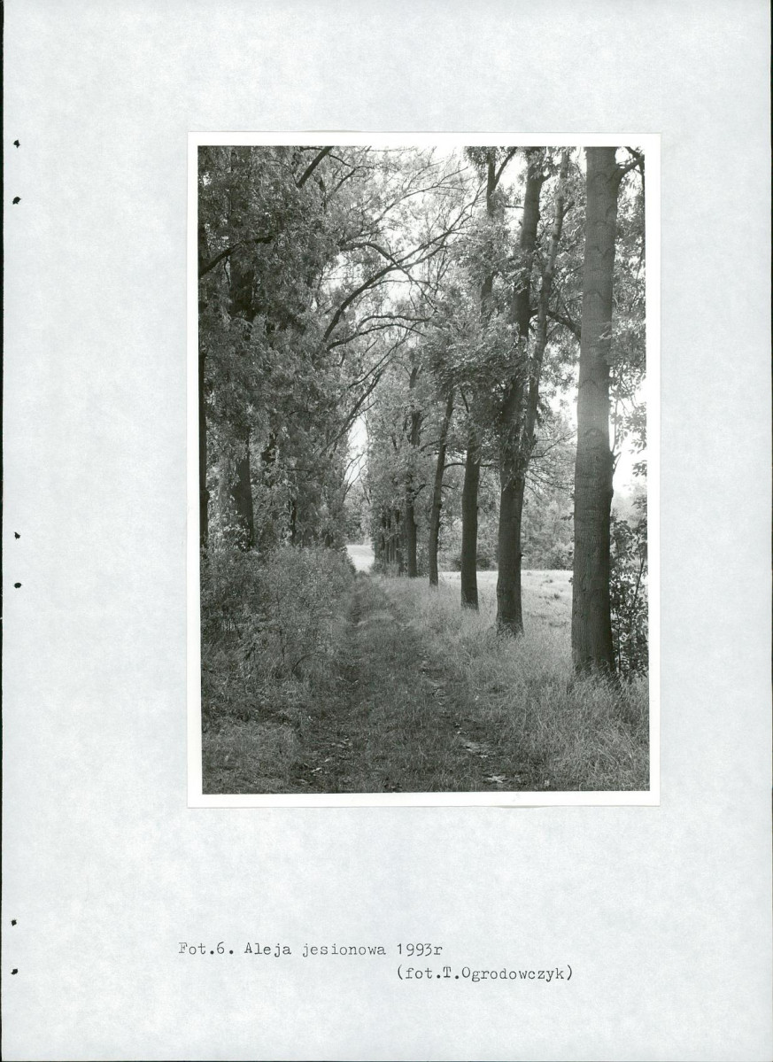 Ewidencja parkowa, skan nr 24