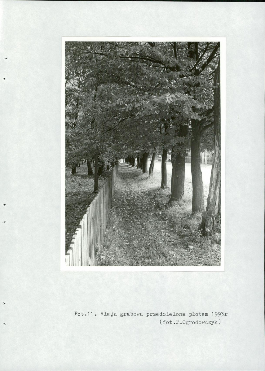 Ewidencja parkowa, skan nr 33
