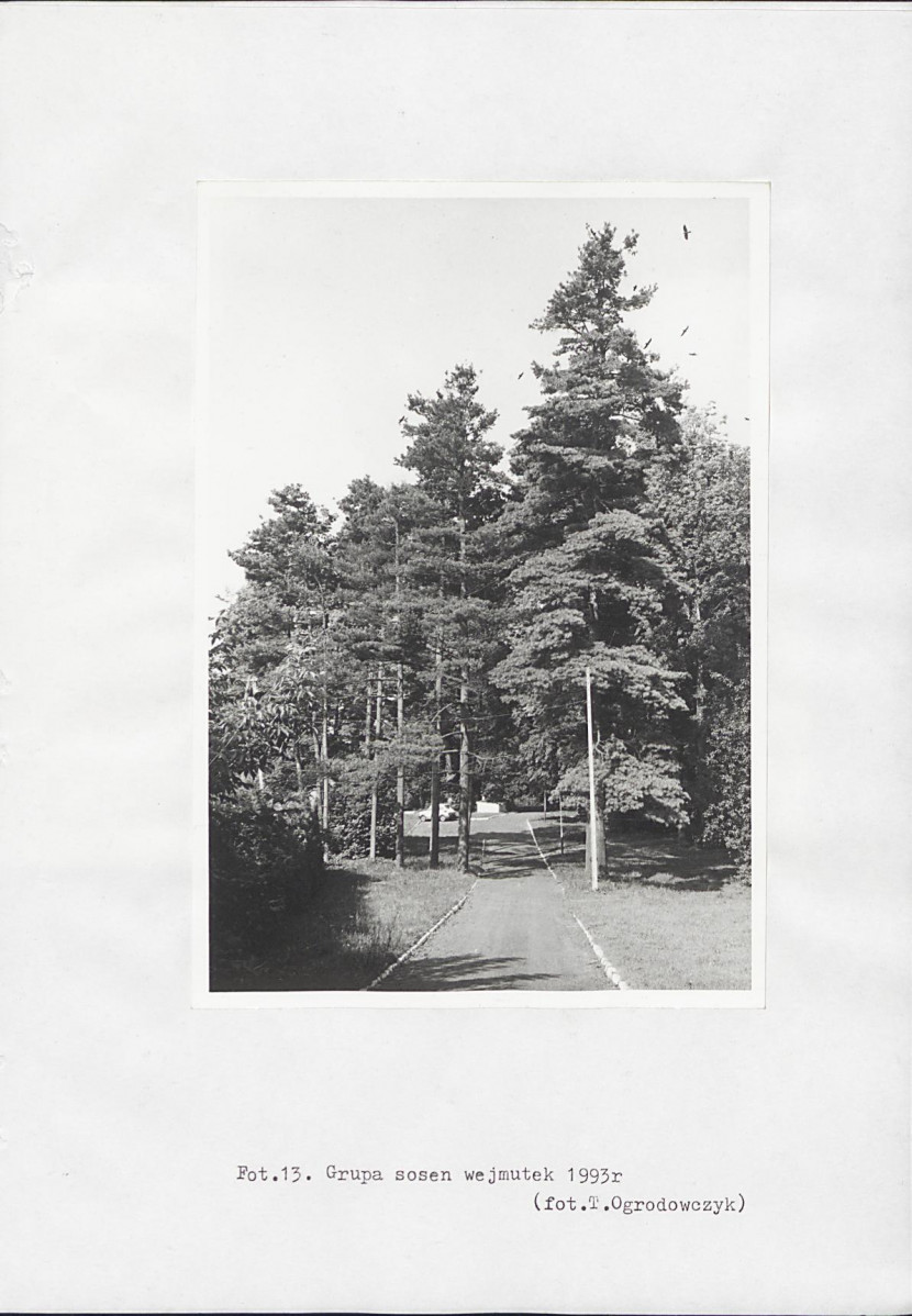 Ewidencja parkowa, skan nr 35