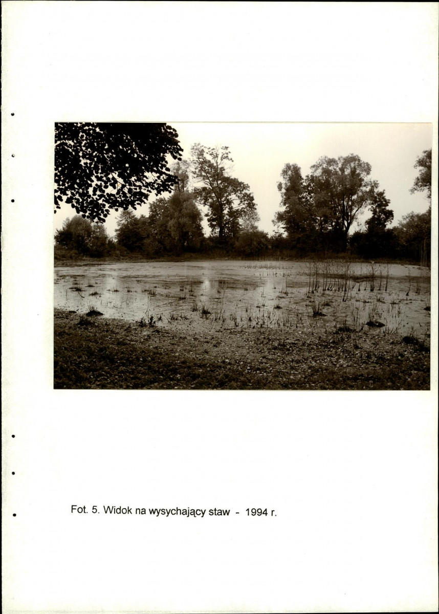 EP - Ewidencja parkowa, skan nr 25