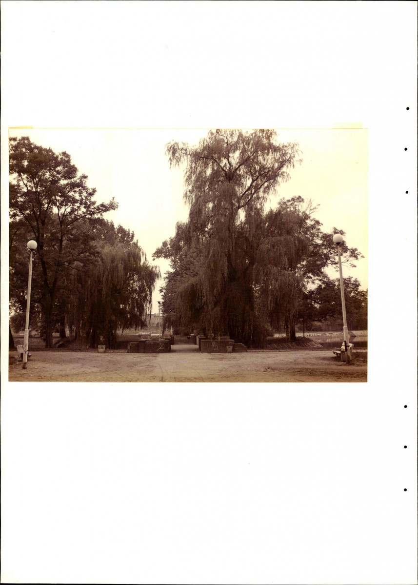 Ewidencja parkowa, skan nr 30